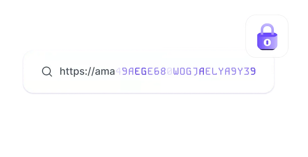 DNS leak protection address lookup secured by a lock